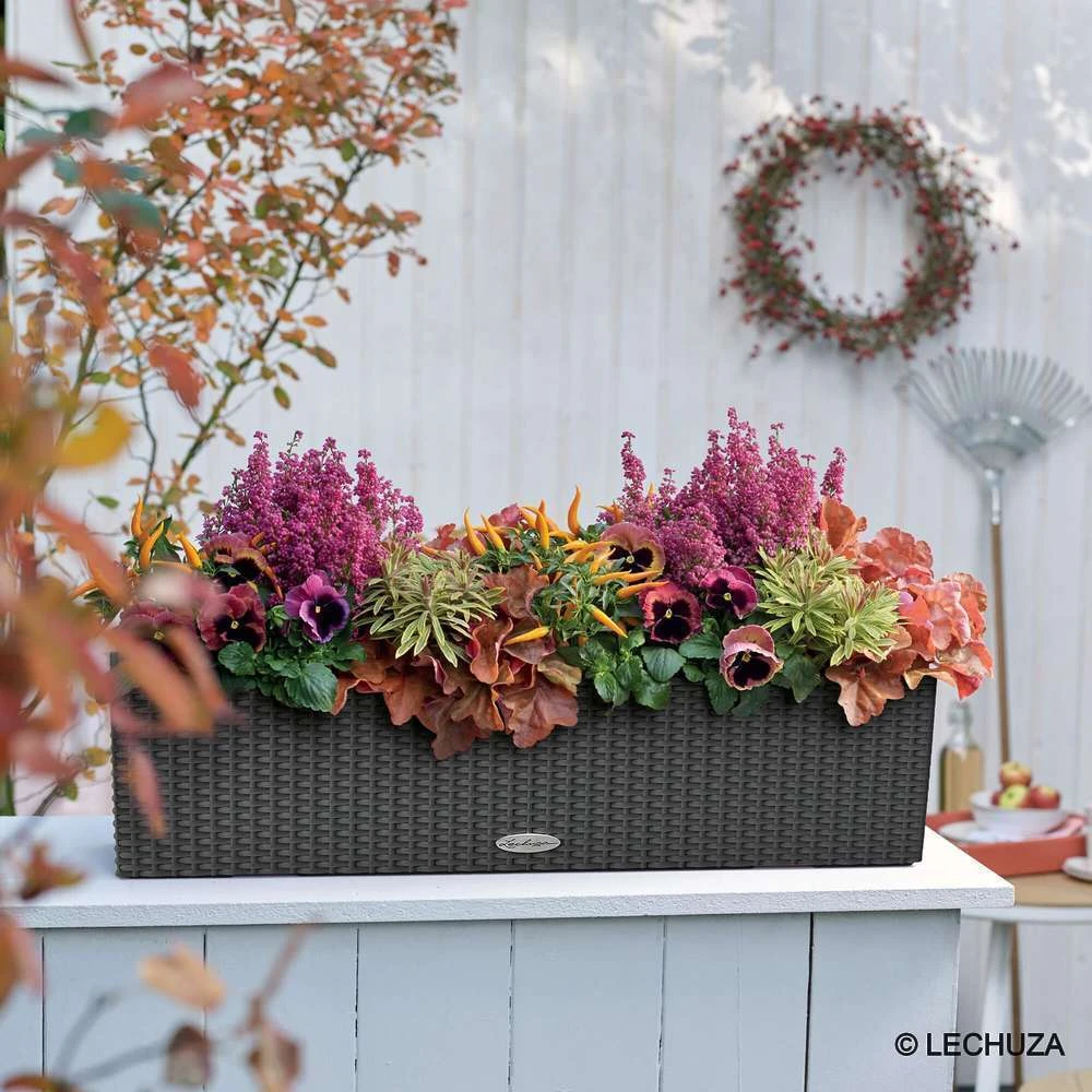 LECHUZA Jardinière Balconera Cottage En Plastique Granit - 79x19x19 Cm 6 LECHUZA Jardinière Balconera Cottage En Plastique Granit - 79x19x19 Cm – Image 6