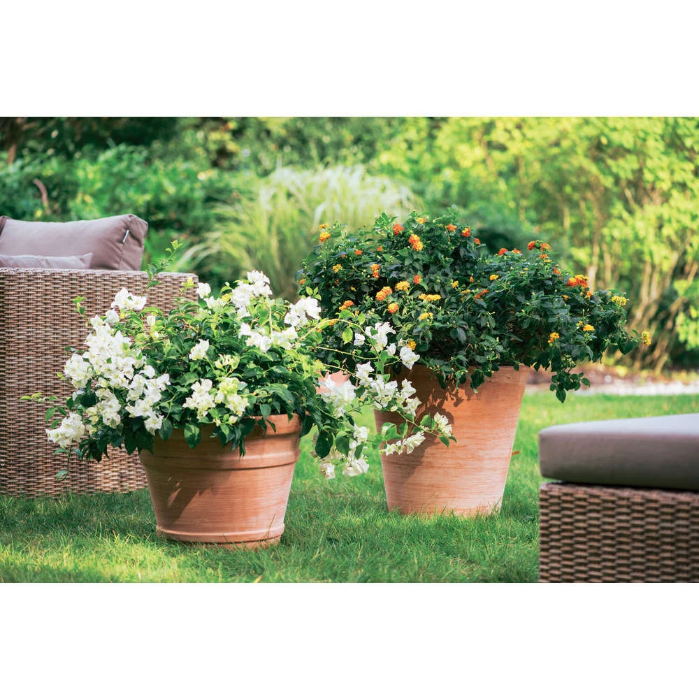 Cuvier Contemporain En Terre Cuite Ø 47 X H. 48cm 2 Cuvier Contemporain En Terre Cuite Ø 47 X H. 48cm – Image 2