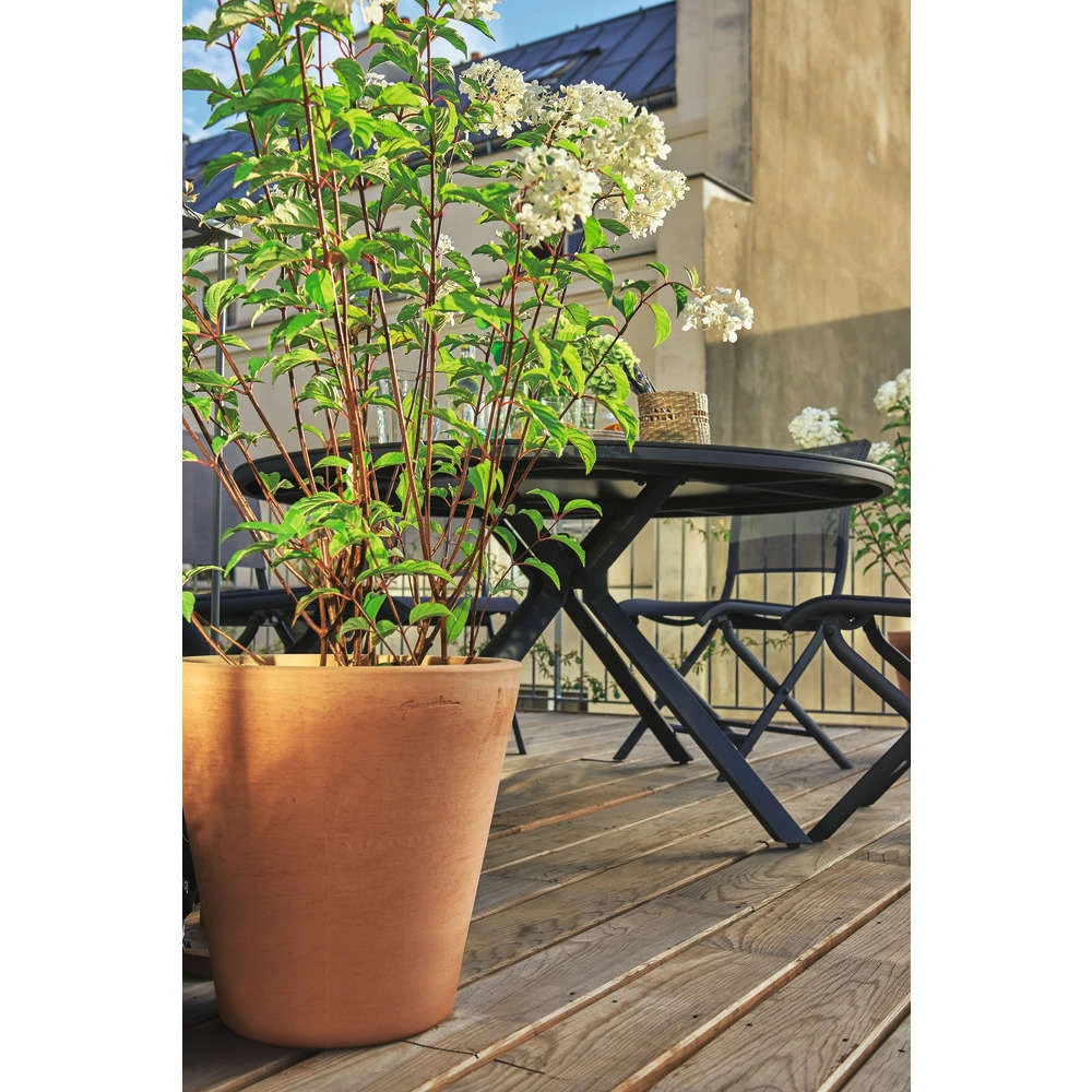 Cuvier Haut Droit En Terre Cuite Ø 37 X H. 60cm 2 Cuvier Haut Droit En Terre Cuite Ø 37 X H. 60cm – Image 2