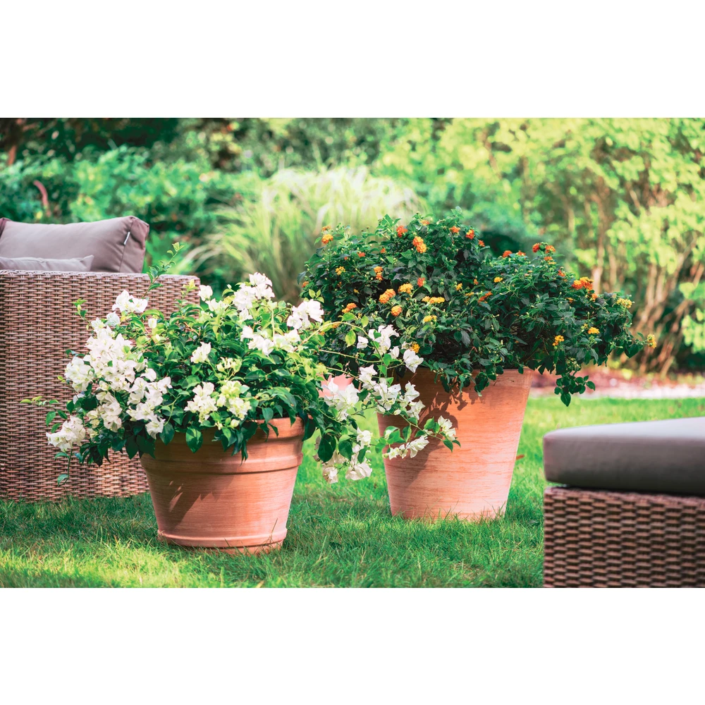 Cuvier Moulure En Terre Cuite Ø 39 X H. 32cm 2 Cuvier Moulure En Terre Cuite Ø 39 X H. 32cm – Image 2