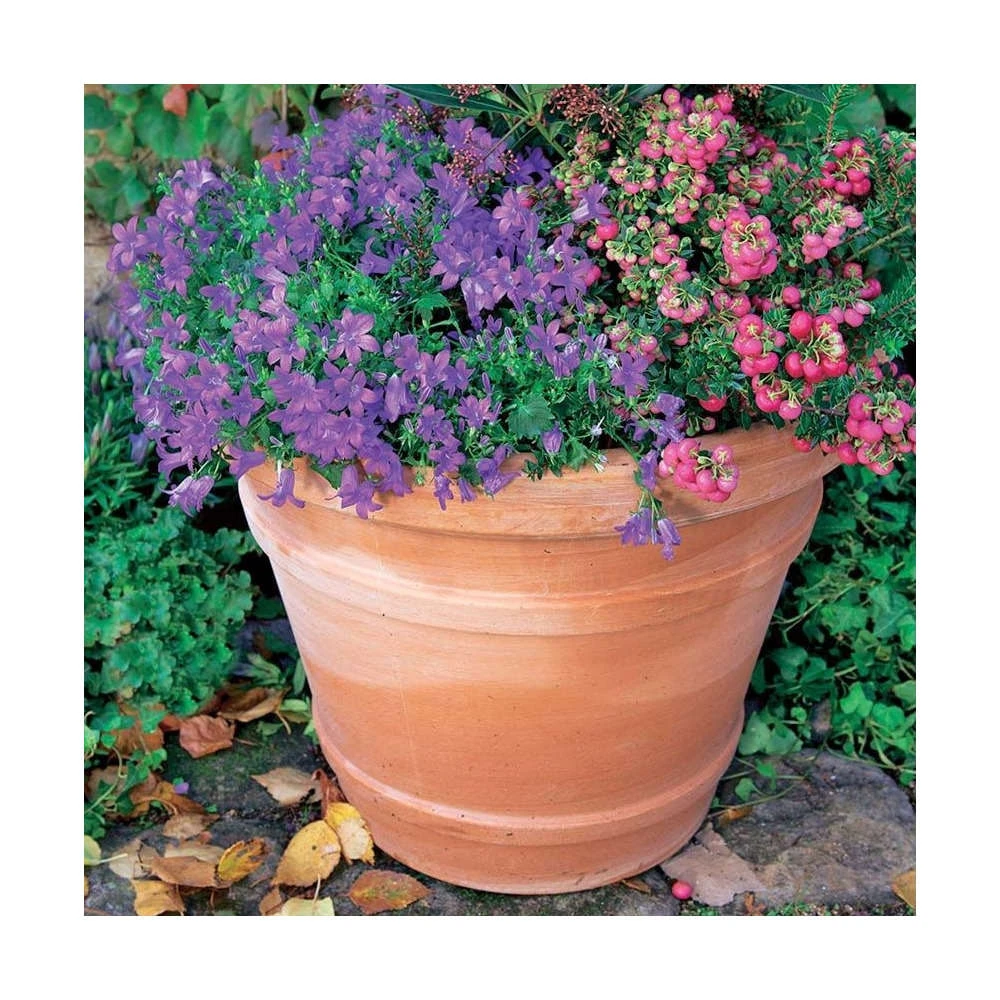 Cuvier Moulure En Terre Cuite Ø 50 X H. 40cm 2 Cuvier Moulure En Terre Cuite Ø 50 X H. 40cm – Image 2