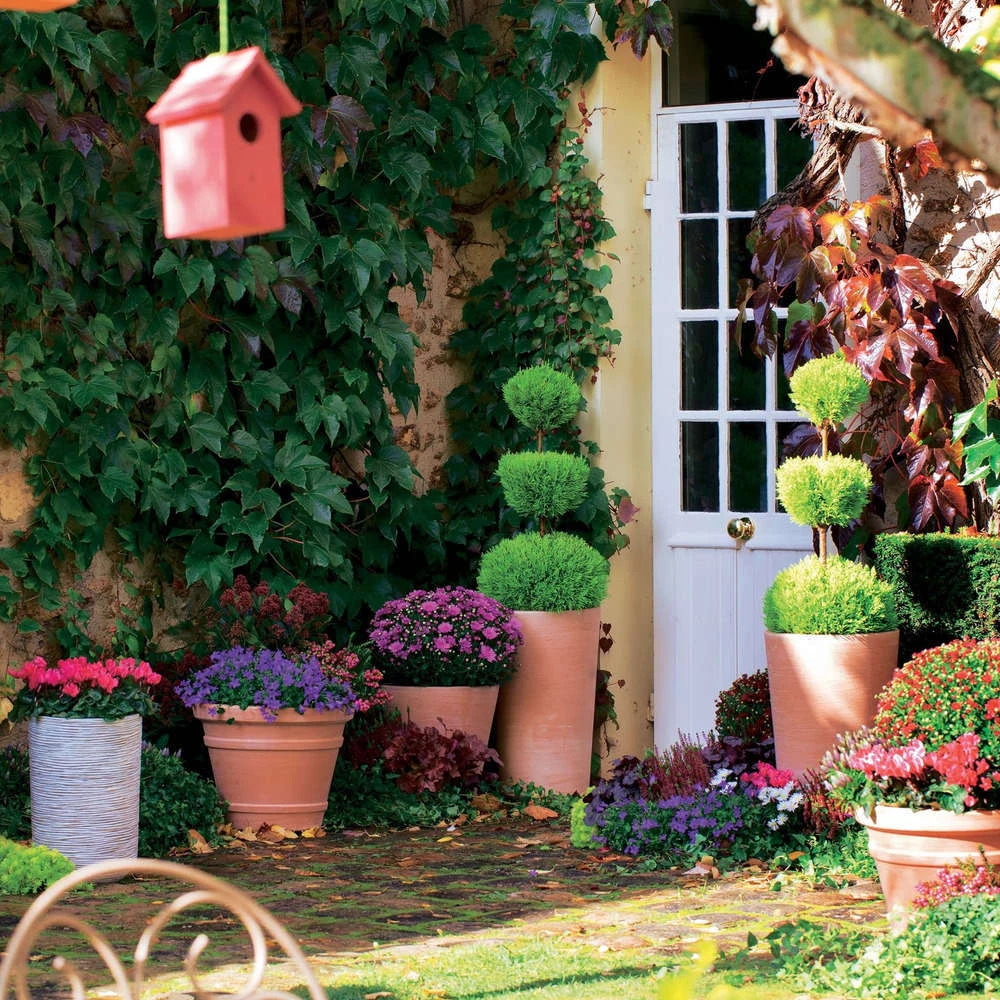 Cuvier Moulure En Terre Cuite Ø 50 X H. 40cm 3 Cuvier Moulure En Terre Cuite Ø 50 X H. 40cm – Image 3