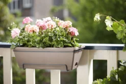 Elho Jardinière Barcelona En Plastique Taupe - L50cm 5 Elho Jardinière Barcelona En Plastique Taupe - L50cm -Konst Decor Magasin 538988 003