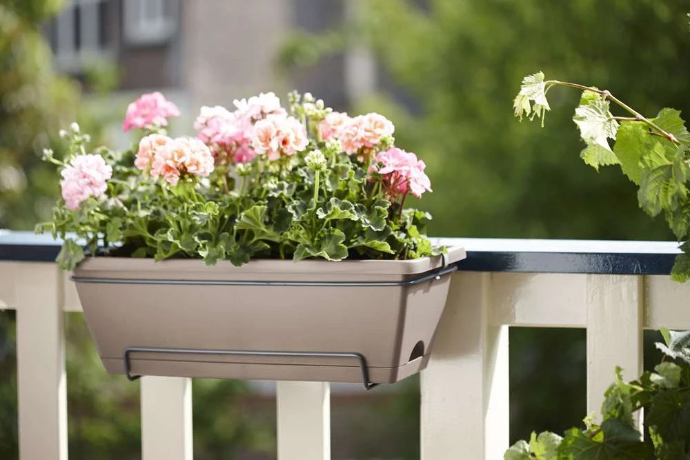 Elho Jardinière Barcelona En Plastique Taupe - L50cm 3 Elho Jardinière Barcelona En Plastique Taupe - L50cm – Image 3