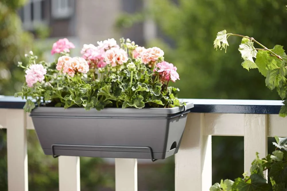 Elho Jardinière "Barcelona" En Plastique Gris Anthracite - L50cm 4 Elho Jardinière "Barcelona" En Plastique Gris Anthracite - L50cm – Image 4