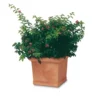 Pot Plastique, Parfaite Imitation Poterie En Terre Cuite 50 X 50 H43 (65 Litres)