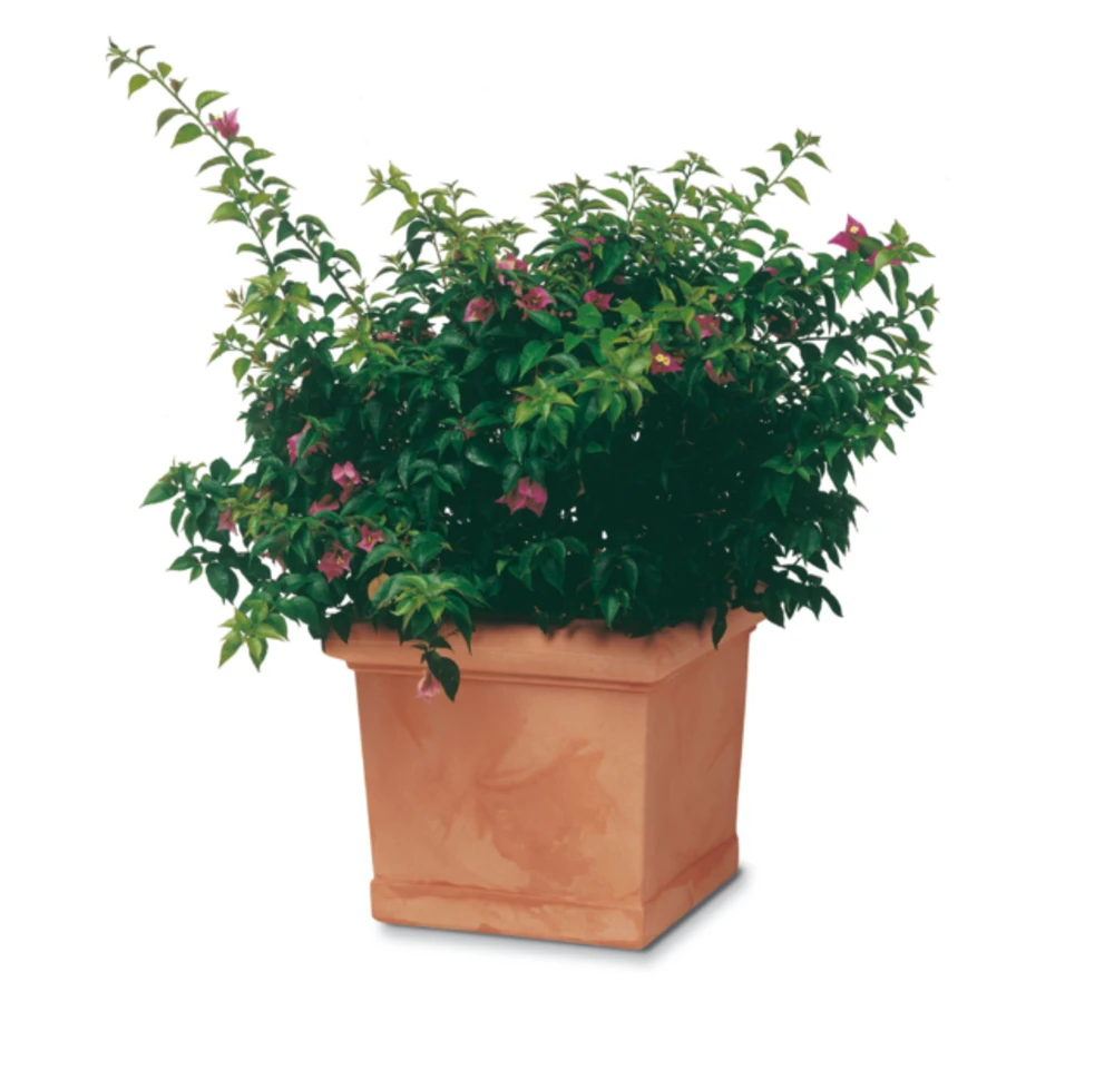 Pot Plastique, Parfaite Imitation Poterie En Terre Cuite 50 X 50 H43 (65 Litres) 1 Pot Plastique, Parfaite Imitation Poterie En Terre Cuite 50 X 50 H43 (65 Litres)