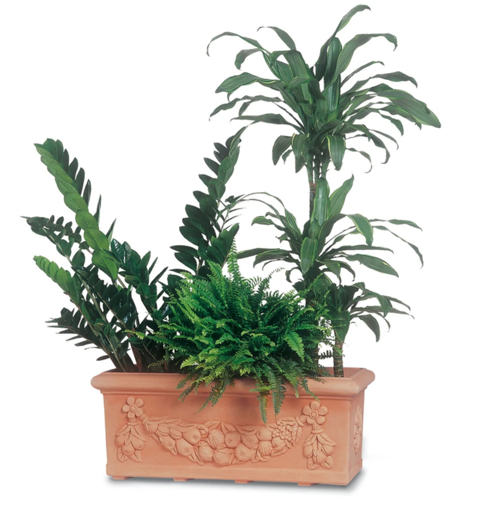 Jardinière Plastique, Imitation Poterie Terre Cuite 100x41 H36 (108 Litres) 2 Jardinière Plastique, Imitation Poterie Terre Cuite 100x41 H36 (108 Litres) – Image 2