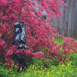 Statue Demi-visage Métal Mosaïque 101 Cm - Gris Anthracite 5 Statue Demi-visage Métal Mosaïque 101 Cm - Gris Anthracite -Konst Decor Magasin 6435a5420cc999.65726983