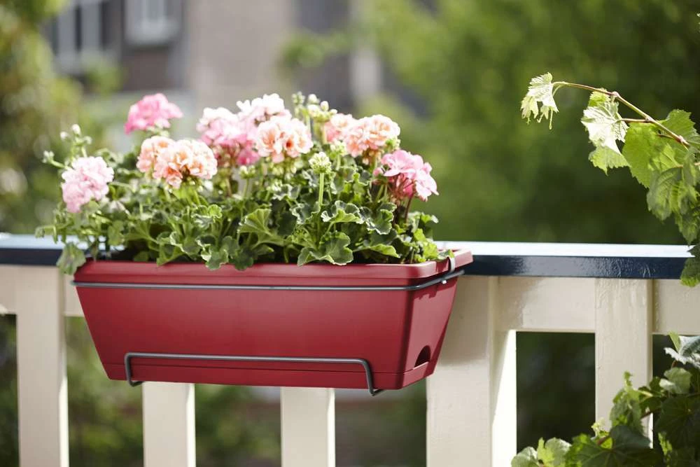 Elho Jardinière Barcelona En Plastique Rouge - 50x28,6x21,4 Cm 4 Elho Jardinière Barcelona En Plastique Rouge - 50x28,6x21,4 Cm – Image 4