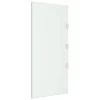 VIDAXL Panneau D'auvent De Porte Transparent 50x100 Cm Verre Trempé