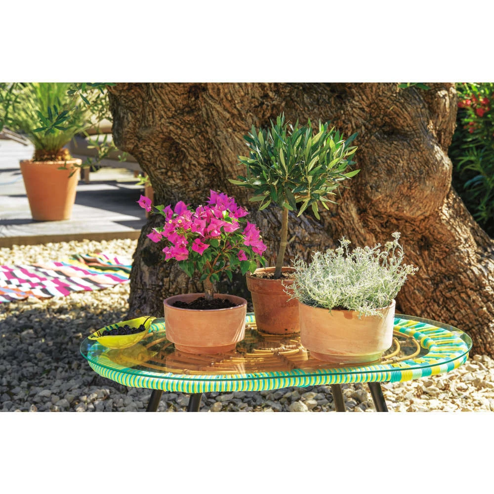 Terrine En Terre Cuite D 21 X H. 13cm 2 Terrine En Terre Cuite D 21 X H. 13cm – Image 2