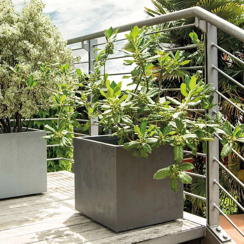 Pot Carré Millenium En Plastique Anthracite L.39 X L.39 X H.39cm 4 Pot Carré Millenium En Plastique Anthracite L.39 X L.39 X H.39cm – Image 4