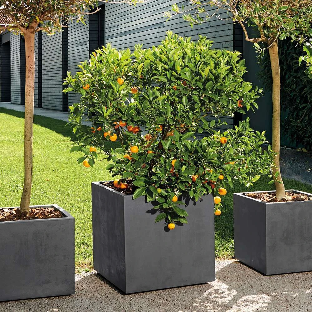 Pot Cube Millenium Plastique Réserve D'eau & Roulettes Anthracite 49cm 2 Pot Cube Millenium Plastique Réserve D'eau & Roulettes Anthracite 49cm – Image 2