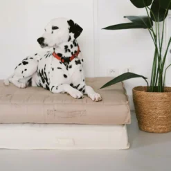 Coussin De Sol Ou D'assise Matelassé Polyester Taupe 120 X 80 X 12cm 8 Coussin De Sol Ou D'assise Matelassé Polyester Taupe 120 X 80 X 12cm -Konst Decor Magasin 8b5144f20b6da04e