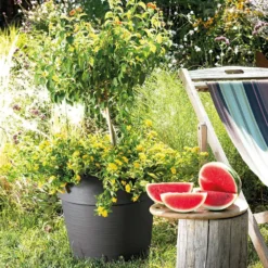 Pot Vaso Save R à Réserve D'eau En Plastique Anthracite Ø29cm 5 Pot Vaso Save R à Réserve D'eau En Plastique Anthracite Ø29cm -Konst Decor Magasin 907979 004