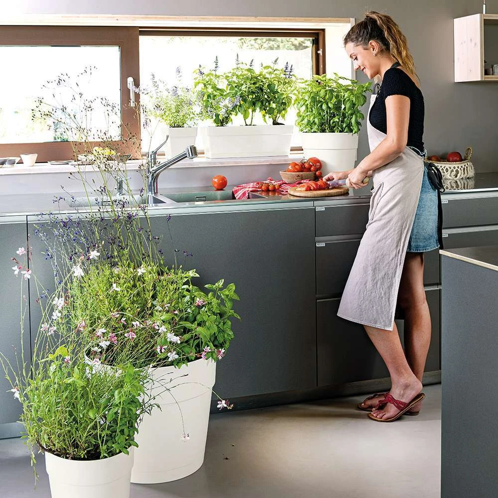 Pot Vaso Save R à Réserve D'eau En Plastique Bianco Ø29cm 4 Pot Vaso Save R à Réserve D'eau En Plastique Bianco Ø29cm – Image 4