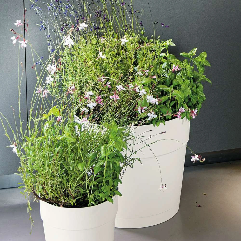 Pot Vaso Save R à Réserve D'eau En Plastique Bianco Ø29cm 3 Pot Vaso Save R à Réserve D'eau En Plastique Bianco Ø29cm – Image 3