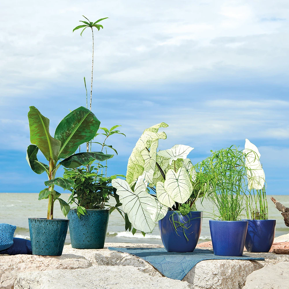 Pot Vaso Azulejos En Terre Cuite émaillée - 6 Finitions - Ø22,5cm 2 Pot Vaso Azulejos En Terre Cuite émaillée - 6 Finitions - Ø22,5cm – Image 2