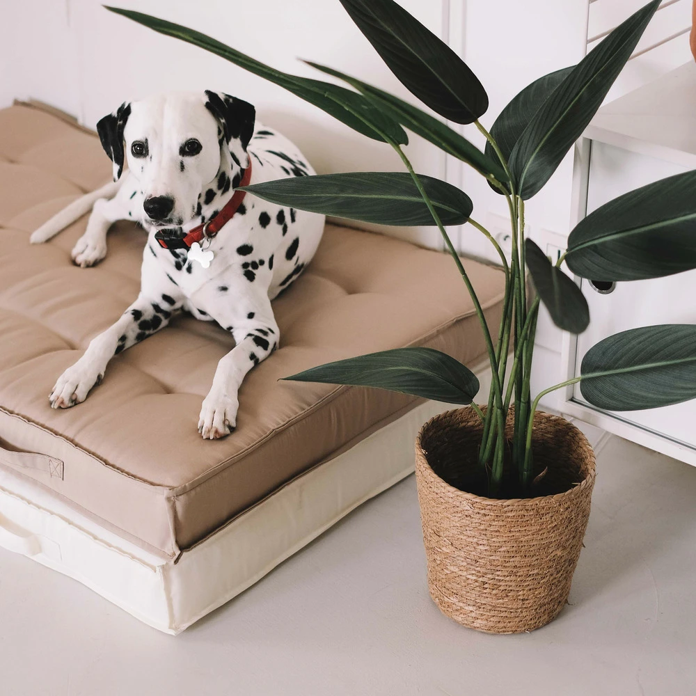 Coussin De Sol Ou D'assise Matelassé Polyester écru 120 X 80 X 12cm 3 Coussin De Sol Ou D'assise Matelassé Polyester écru 120 X 80 X 12cm – Image 3